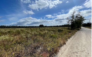 TBD Hawaca Dr, McAlpin, FL 32062 - photo 4