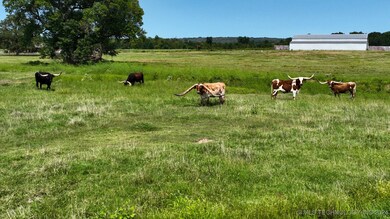 462437 E 1050 Rd, Sallisaw, OK 74955 - photo 2