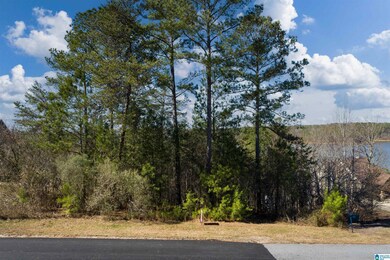 0 Aqua Dr unit 37 21377015, Wedowee, AL 36278 - photo 4