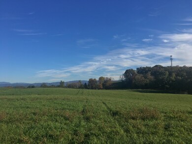 IMG_3040