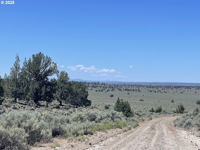 0 Benjamin Lake Rd unit L 502 528239259, Christmas Valley, OR 97641 - photo 6