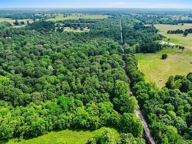 Bird's eye view of a heavily wooded area