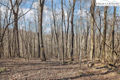 TBD Cobbs Creek Rd, Meat Camp, NC 28607 - photo 2