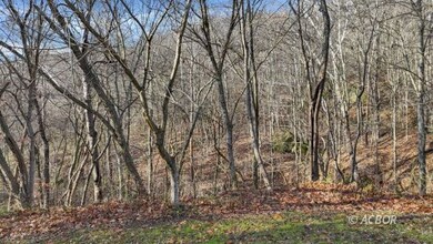 34673 Broderick Hollow Rd, Salisbury Township, OH 45769 - photo 3