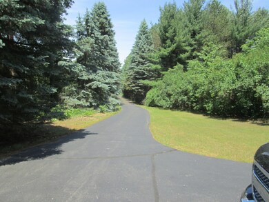 1780 E Maple Rapids Rd 037