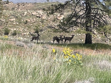 2 Hart Rd N, Davenport, WA 99122 - photo 2