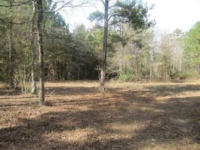 778 Hortons Hollow Rd, Lufkin, TX 75904 - photo 2