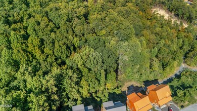 dji_20251010150523_0947_d