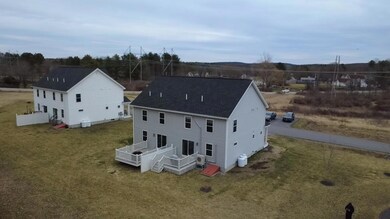 9 Junco Aerial 3