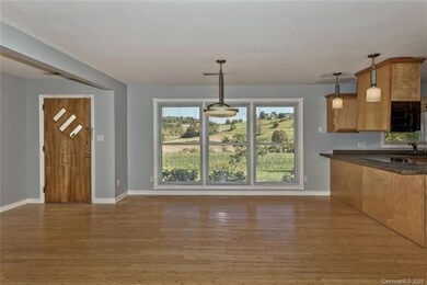 368 Turkey Creek Rd, Leicester, NC 28748 - photo 5