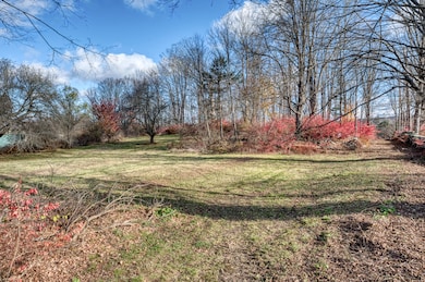 Property has a beautiful Lot Lots of open space and Wooded
