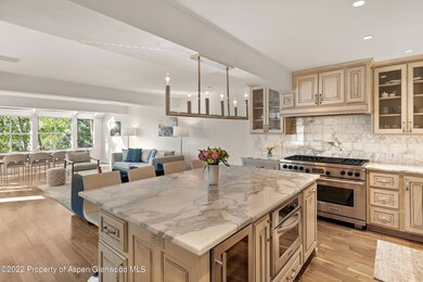 100 N 8th St unit 23, Aspen, CO 81611 - photo 7