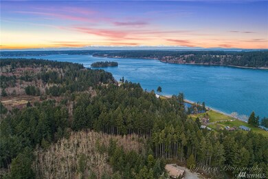 0 Otso Point Rd unit 1609342, Anderson Island, WA 98303 - photo 3