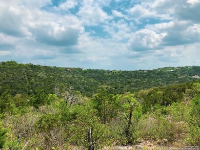 9856 Cash Mountain Rd, Helotes, TX 78023 - photo 3
