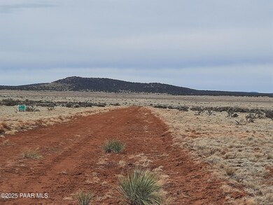 Lot 1104 Rd, Seligman, AZ 86337 - photo 5