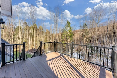 1012 Cannon Settlement Rd, Parsons, WV 26287 - photo 2