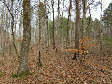 0 Mayberry Prong Rd unit 2105945, Linden, TN 37096 - photo 6