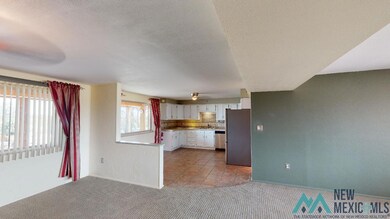 9585 La Bajada Rd SW, Deming, NM 88030 - photo 6