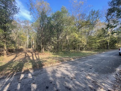 0 Ownby Rd, Lewisburg, TN 37091 - photo 5