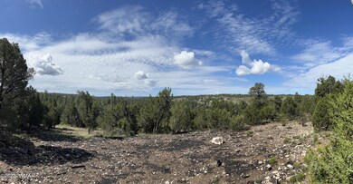 Par.B View4