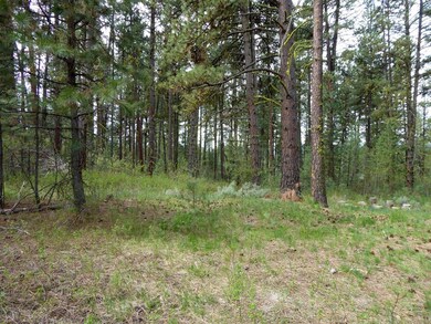 Located Just 5 Miles From Lake Cascade