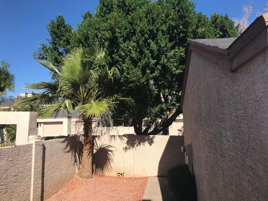 Front yard