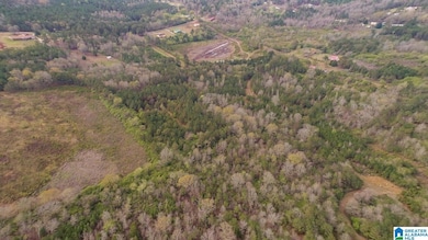 0 Armstrong Mountain Ln unit 21405929, Talladega, AL 35160 - photo 4