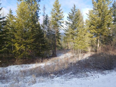 Lot 4 in winter
