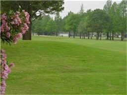 7832 Green Lawn Dr unit 7832, Houston, TX 77088 - photo 6