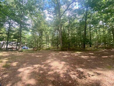 VL Honeymoon Lake Dr, Baldwin, MI 49304 - photo 3