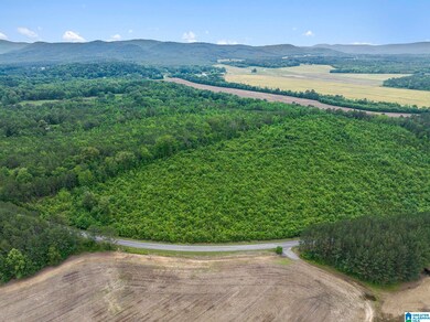 0 County Road 12 unit 21419015, Centre, AL 35960 - photo 4