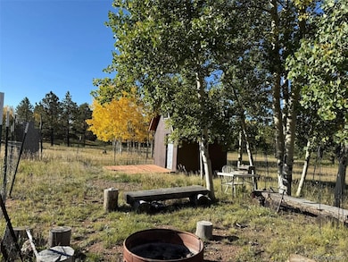 1965 Vagabond Creek Dr unit 9, Lake George, CO 80827 - photo 6