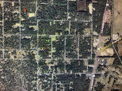 TBD Rainbow Acres Unit 5, Dunnellon, FL 34431 - photo 3