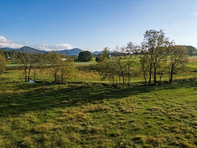 47 acres N Lee Hwy unit Rt. 11, Raphine, VA 24472 - photo 7