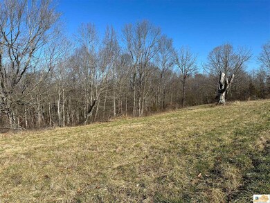 501 Brockman Rd, Columbia, KY 42728 - photo 7