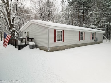 7830 Jefferson St, Hesperia, MI 49421 - photo 5