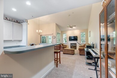 5004 Willow Branch Way unit 304, Owings Mills, MD 21117 - photo 4