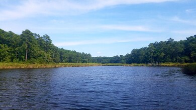 View up Caraway Gut