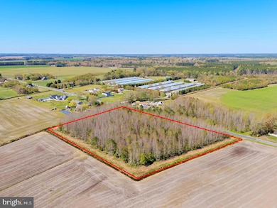 0 E Trap Pond Rd unit DESU2083648, Georgetown, DE 19947 - photo 7