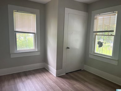 1004 Forest St, Birmingham, AL 35217 - photo 4