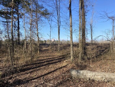 0 Ozan C unit 24032575, Ozan, AR 71855 - photo 3