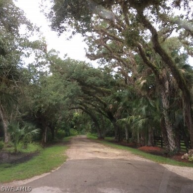 18951 Palm Beach Blvd, Alva, FL 33920 - photo 5