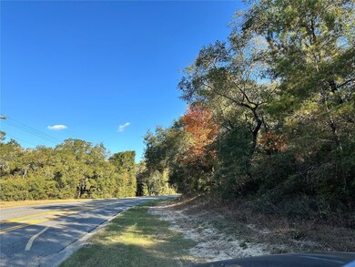 6100 County Road 214, Keystone Heights, FL 32656 - photo 6