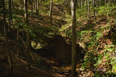 0000 Little Kyger Rd, Cheshire, OH 45620 - photo 7