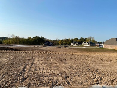 L82 Ph2 Irish Hills Estates, Nixa, MO 65714 - photo 3