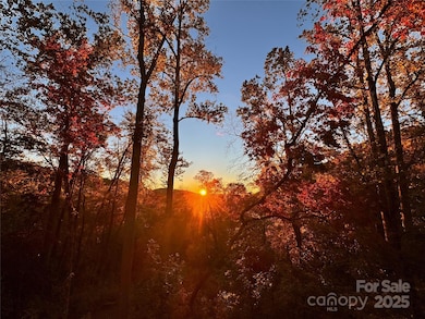 1367 Old Mill Rd, Clear Creek, NC 28792 - photo 6