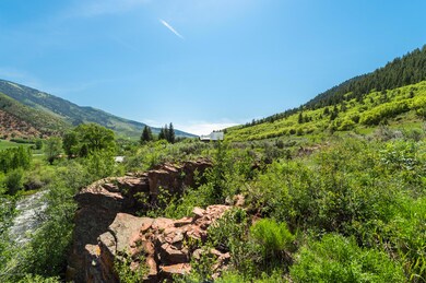54 Spruce Rd, Basalt, CO 81621 - photo 5