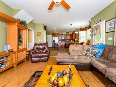 115 Chestnut Ln, Hendersonville, NC 28792 - photo 5