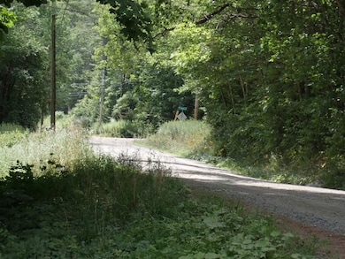 0 Denio Rd, Barnet, VT 05819 - photo 3