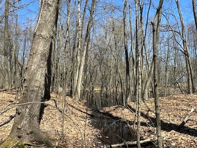 00WP Wemple Rd, Glenmont, NY 12077 - photo 7